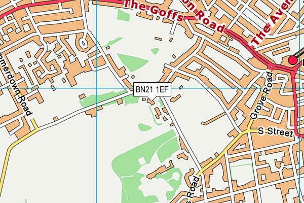 BN21 1EF map - OS VectorMap District (Ordnance Survey)