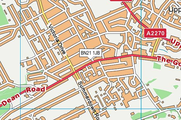 BN21 1JB map - OS VectorMap District (Ordnance Survey)