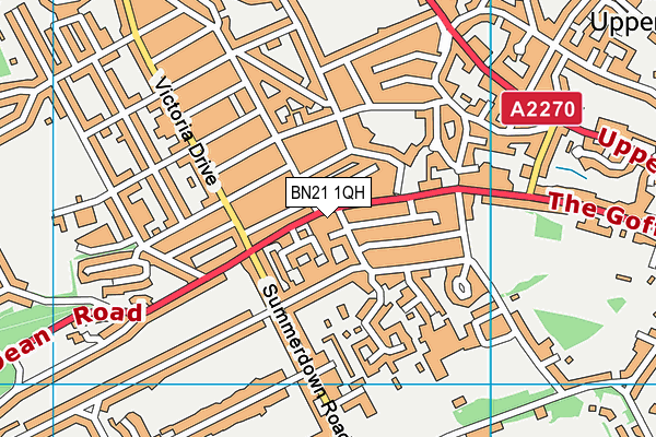 BN21 1QH map - OS VectorMap District (Ordnance Survey)