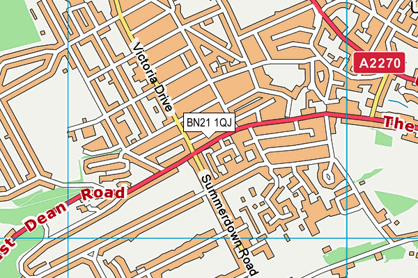 BN21 1QJ map - OS VectorMap District (Ordnance Survey)