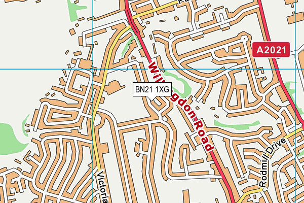 BN21 1XG map - OS VectorMap District (Ordnance Survey)