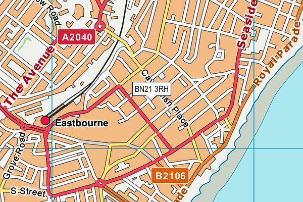 BN21 3RH map - OS VectorMap District (Ordnance Survey)