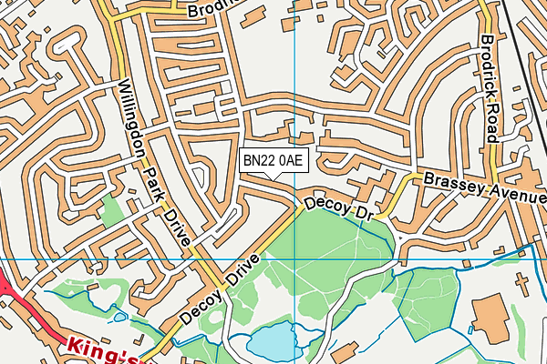 BN22 0AE map - OS VectorMap District (Ordnance Survey)