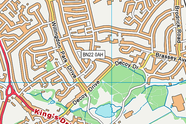 BN22 0AH map - OS VectorMap District (Ordnance Survey)