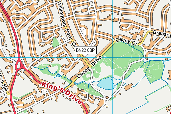 BN22 0BP map - OS VectorMap District (Ordnance Survey)