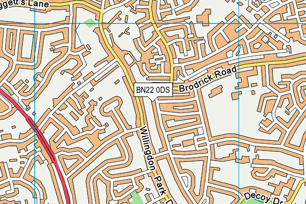 BN22 0DS map - OS VectorMap District (Ordnance Survey)