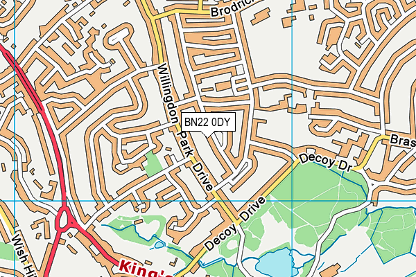 BN22 0DY map - OS VectorMap District (Ordnance Survey)