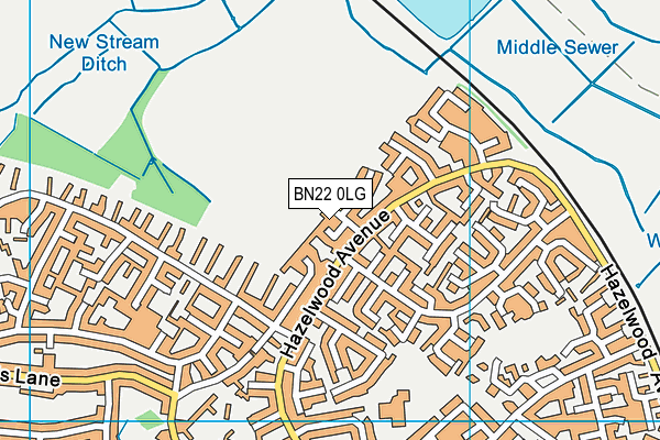 BN22 0LG map - OS VectorMap District (Ordnance Survey)