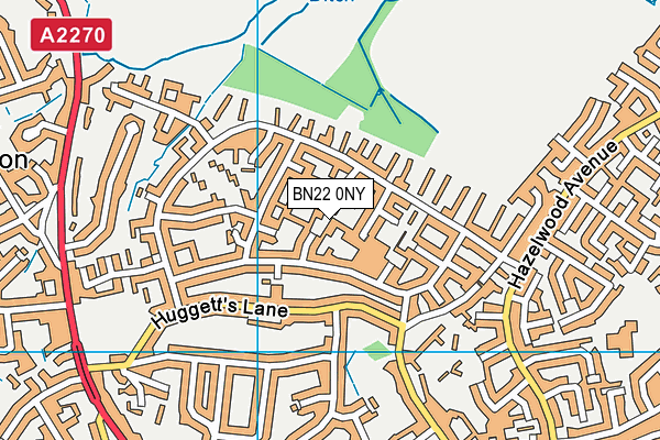 BN22 0NY map - OS VectorMap District (Ordnance Survey)