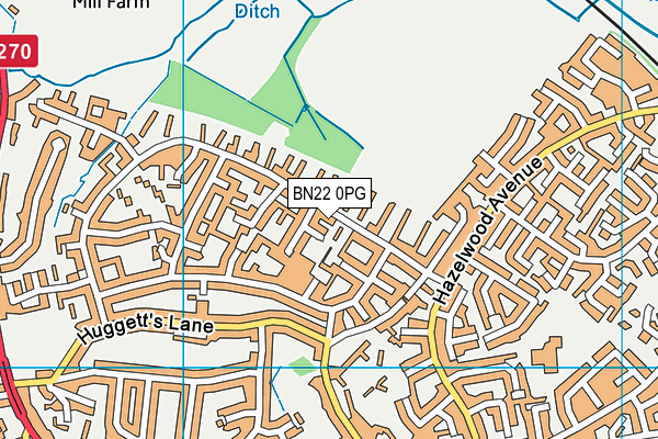 BN22 0PG map - OS VectorMap District (Ordnance Survey)