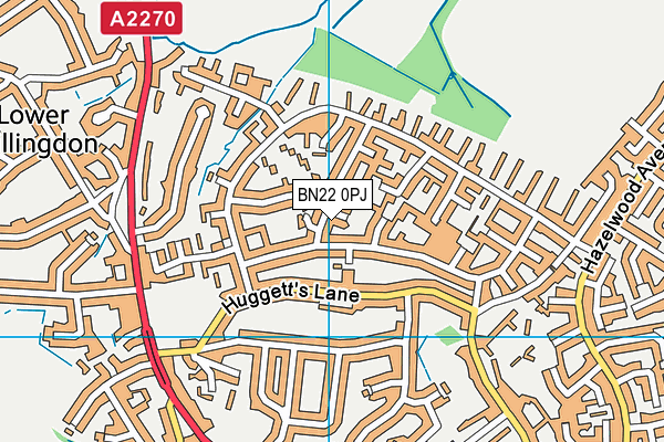 BN22 0PJ map - OS VectorMap District (Ordnance Survey)