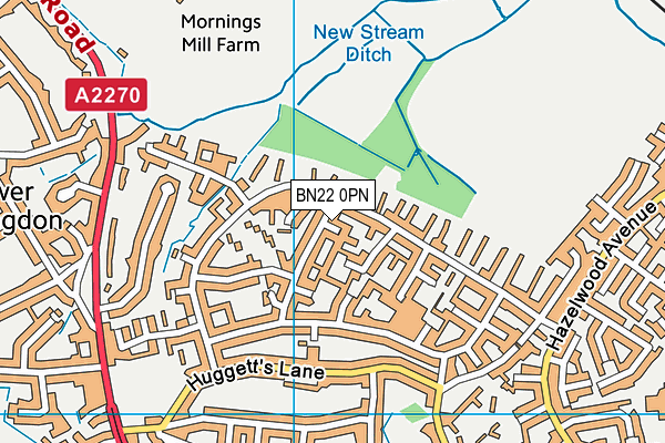 BN22 0PN map - OS VectorMap District (Ordnance Survey)
