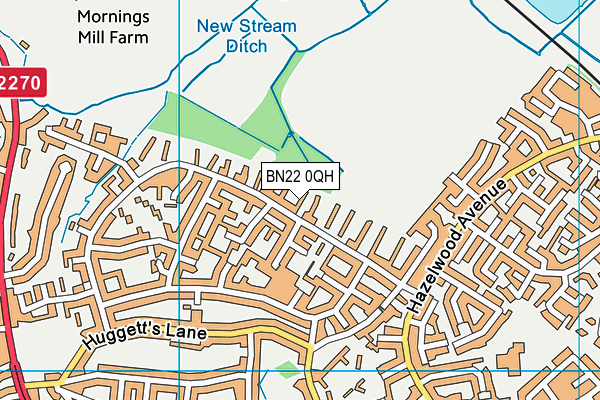 BN22 0QH map - OS VectorMap District (Ordnance Survey)