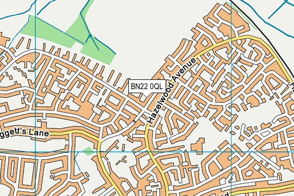 BN22 0QL map - OS VectorMap District (Ordnance Survey)