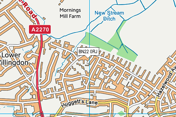 BN22 0RJ map - OS VectorMap District (Ordnance Survey)