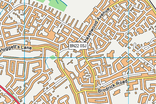BN22 0SJ map - OS VectorMap District (Ordnance Survey)