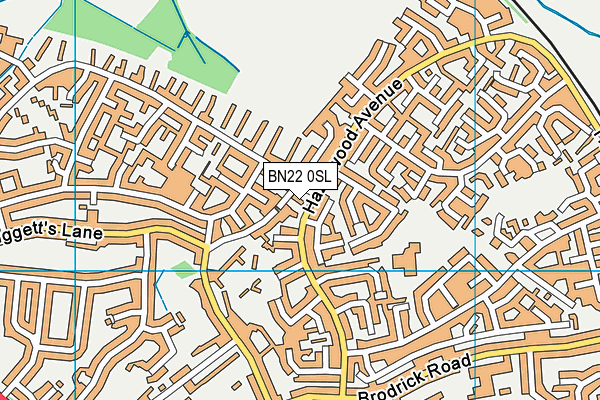 BN22 0SL map - OS VectorMap District (Ordnance Survey)