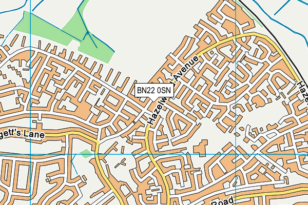 BN22 0SN map - OS VectorMap District (Ordnance Survey)