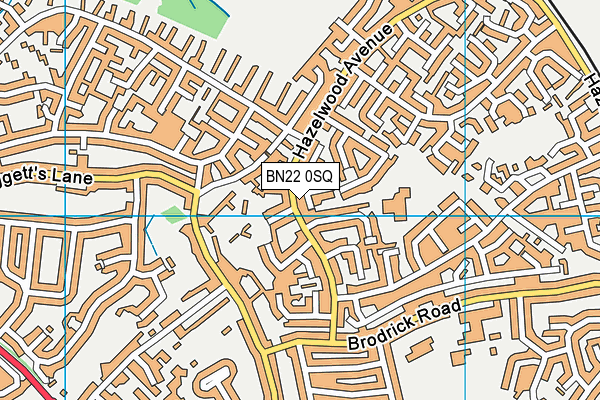 BN22 0SQ map - OS VectorMap District (Ordnance Survey)