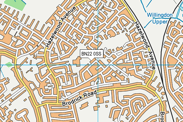 BN22 0SS map - OS VectorMap District (Ordnance Survey)