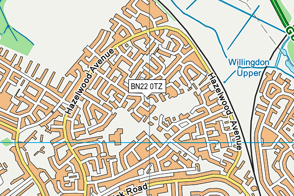 BN22 0TZ map - OS VectorMap District (Ordnance Survey)