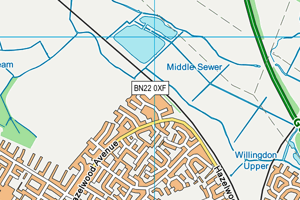 BN22 0XF map - OS VectorMap District (Ordnance Survey)