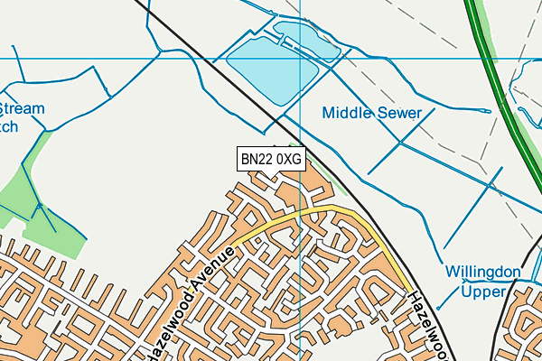 BN22 0XG map - OS VectorMap District (Ordnance Survey)