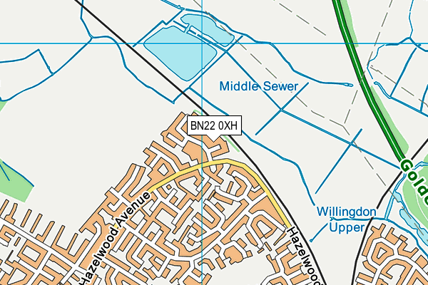 BN22 0XH map - OS VectorMap District (Ordnance Survey)