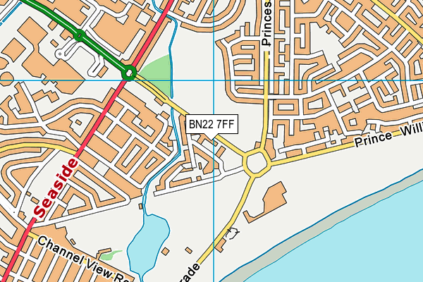 BN22 7FF map - OS VectorMap District (Ordnance Survey)
