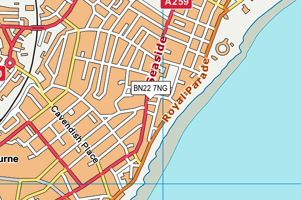 BN22 7NG map - OS VectorMap District (Ordnance Survey)