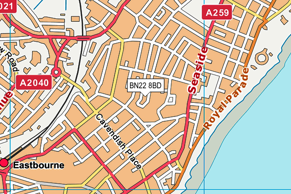 Bourne Primary School map (BN22 8BD) - OS VectorMap District (Ordnance Survey)