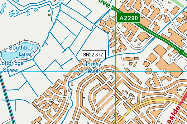 BN22 8TZ map - OS VectorMap District (Ordnance Survey)