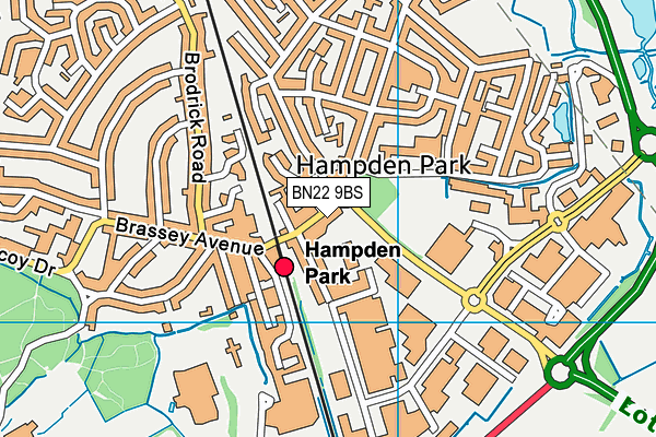 BN22 9BS map - OS VectorMap District (Ordnance Survey)