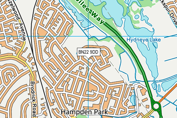 BN22 9DD map - OS VectorMap District (Ordnance Survey)