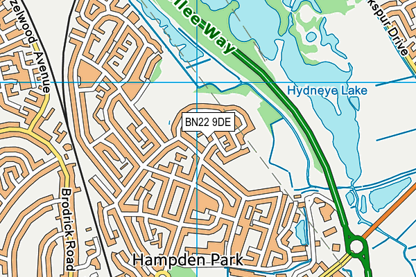 BN22 9DE map - OS VectorMap District (Ordnance Survey)
