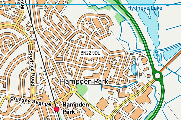 BN22 9DL map - OS VectorMap District (Ordnance Survey)