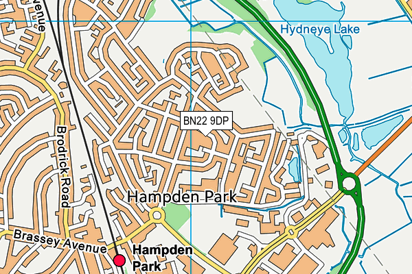 BN22 9DP map - OS VectorMap District (Ordnance Survey)