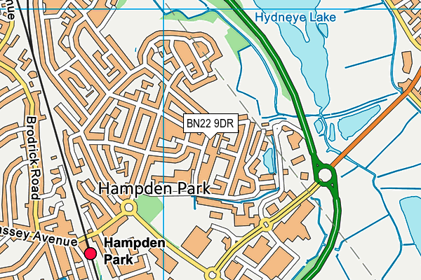 BN22 9DR map - OS VectorMap District (Ordnance Survey)