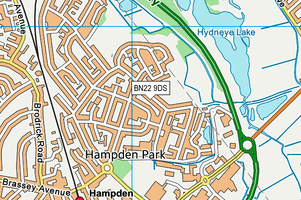BN22 9DS map - OS VectorMap District (Ordnance Survey)