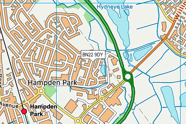 BN22 9DY map - OS VectorMap District (Ordnance Survey)
