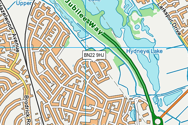 BN22 9HJ map - OS VectorMap District (Ordnance Survey)