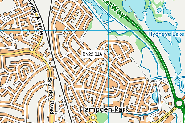 BN22 9JA map - OS VectorMap District (Ordnance Survey)