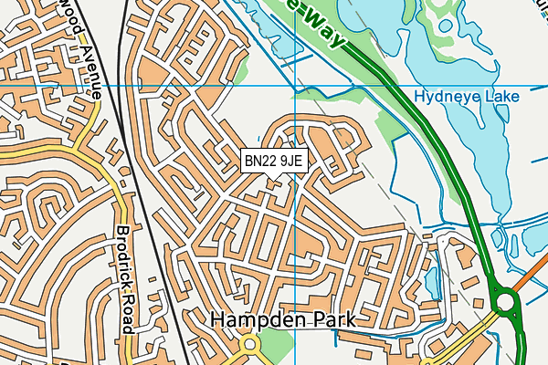 BN22 9JE map - OS VectorMap District (Ordnance Survey)