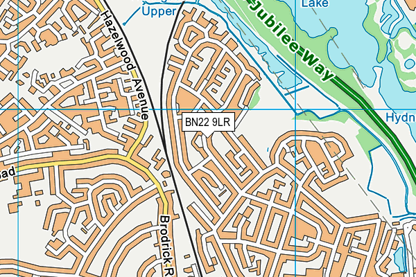 BN22 9LR map - OS VectorMap District (Ordnance Survey)