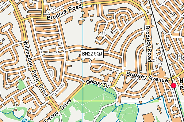 BN22 9QJ map - OS VectorMap District (Ordnance Survey)