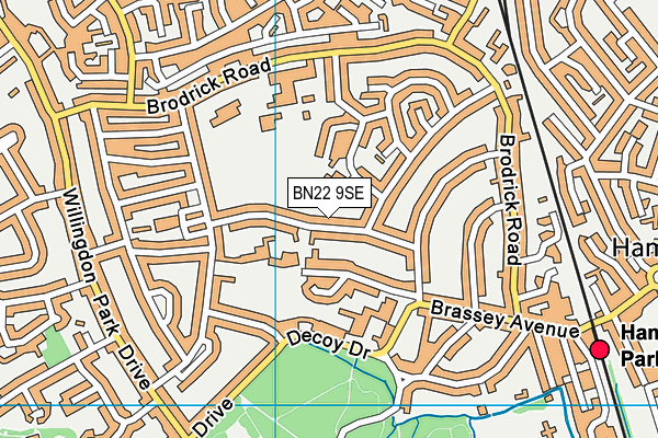 BN22 9SE map - OS VectorMap District (Ordnance Survey)
