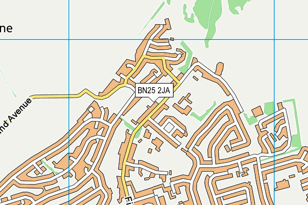 BN25 2JA map - OS VectorMap District (Ordnance Survey)