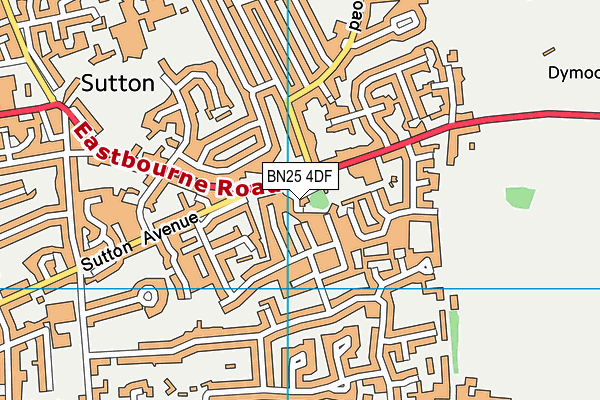 BN25 4DF map - OS VectorMap District (Ordnance Survey)