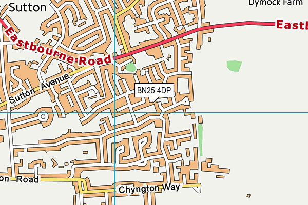 BN25 4DP map - OS VectorMap District (Ordnance Survey)