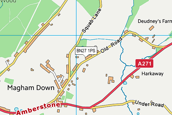 BN27 1PS map - OS VectorMap District (Ordnance Survey)